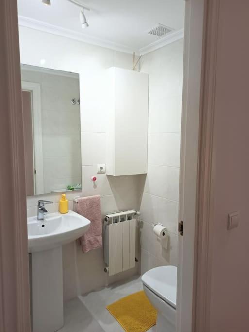 Appartement Bajo Con Jardin Privado à Santander Extérieur photo