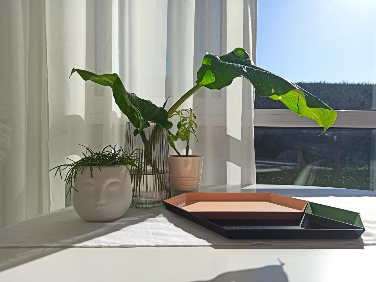 Appartement Bajo Con Jardin Privado à Santander Extérieur photo