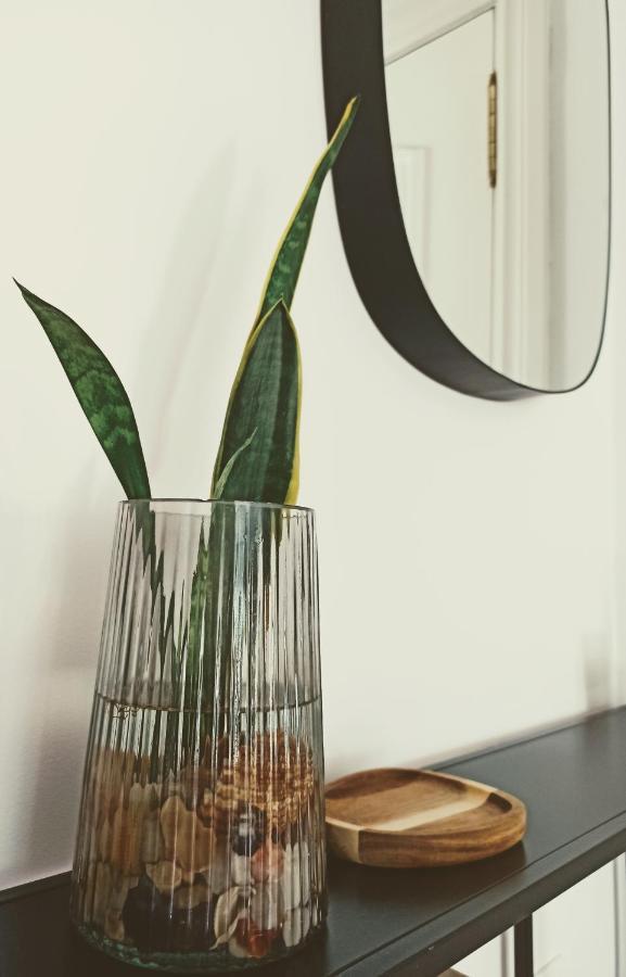 Appartement Bajo Con Jardin Privado à Santander Extérieur photo