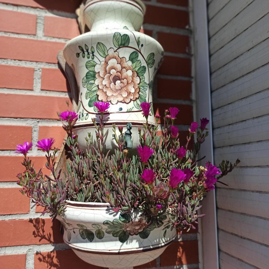 Appartement Bajo Con Jardin Privado à Santander Extérieur photo